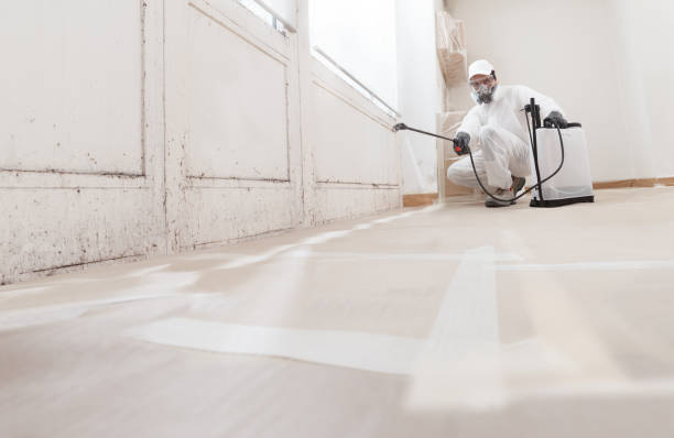 24/7 Emergency Attic Mold Removal experts in White Plains, NC