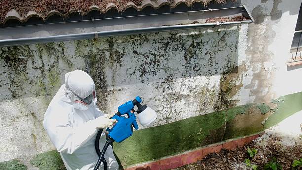 Top rated local Mold Remediation specialists in White Plains, NC